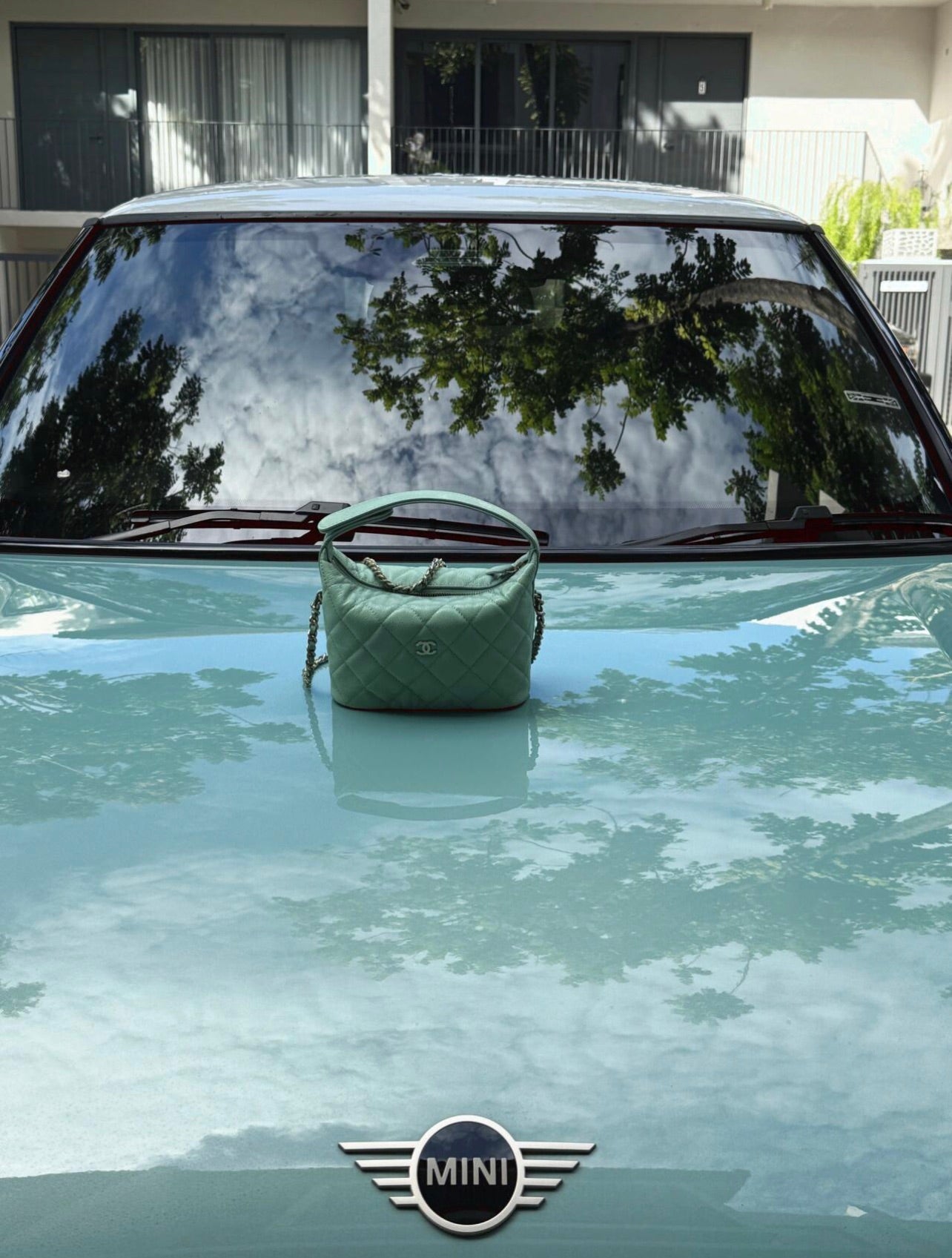 CHANEL25C early spring lunch box bag