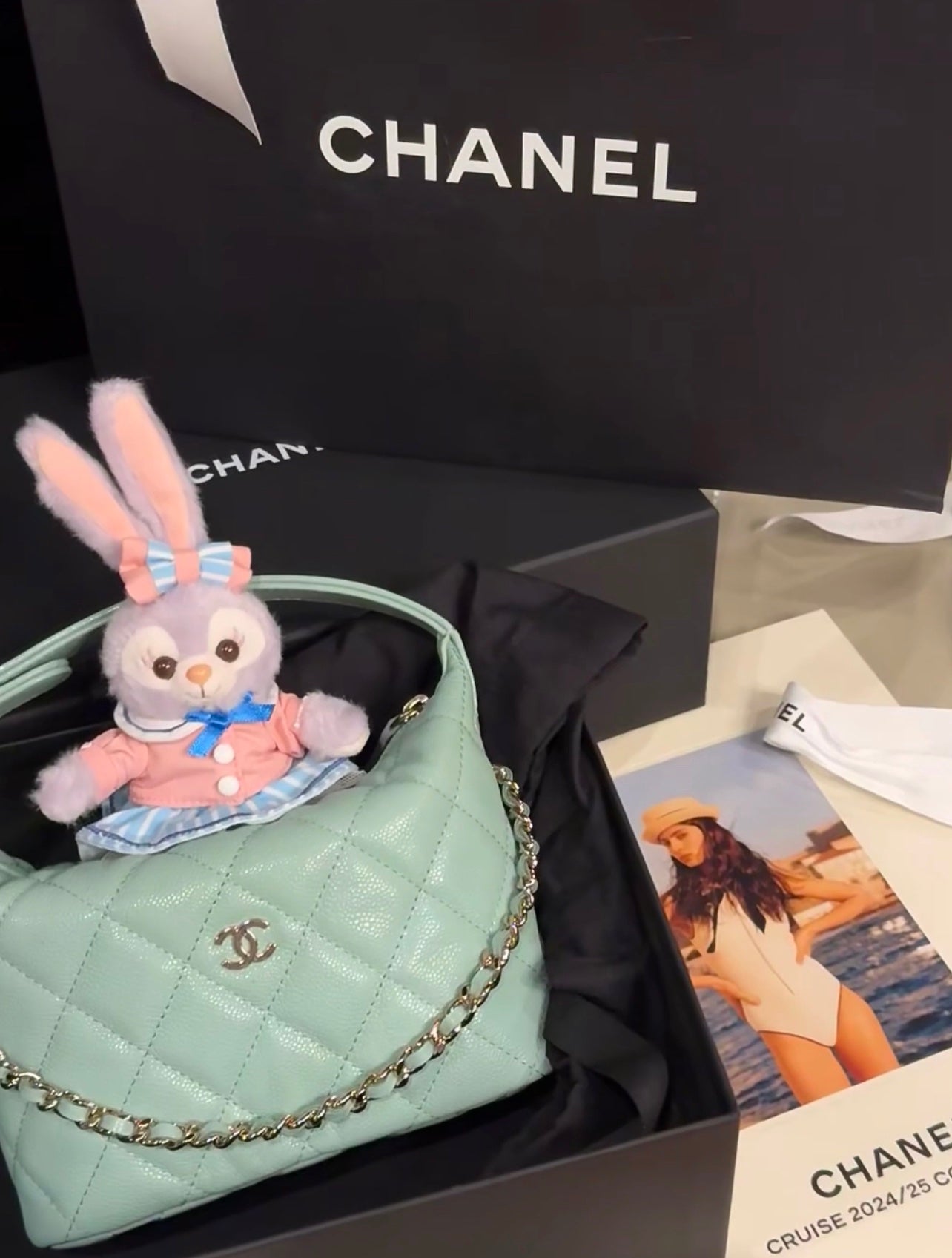 CHANEL25C early spring lunch box bag