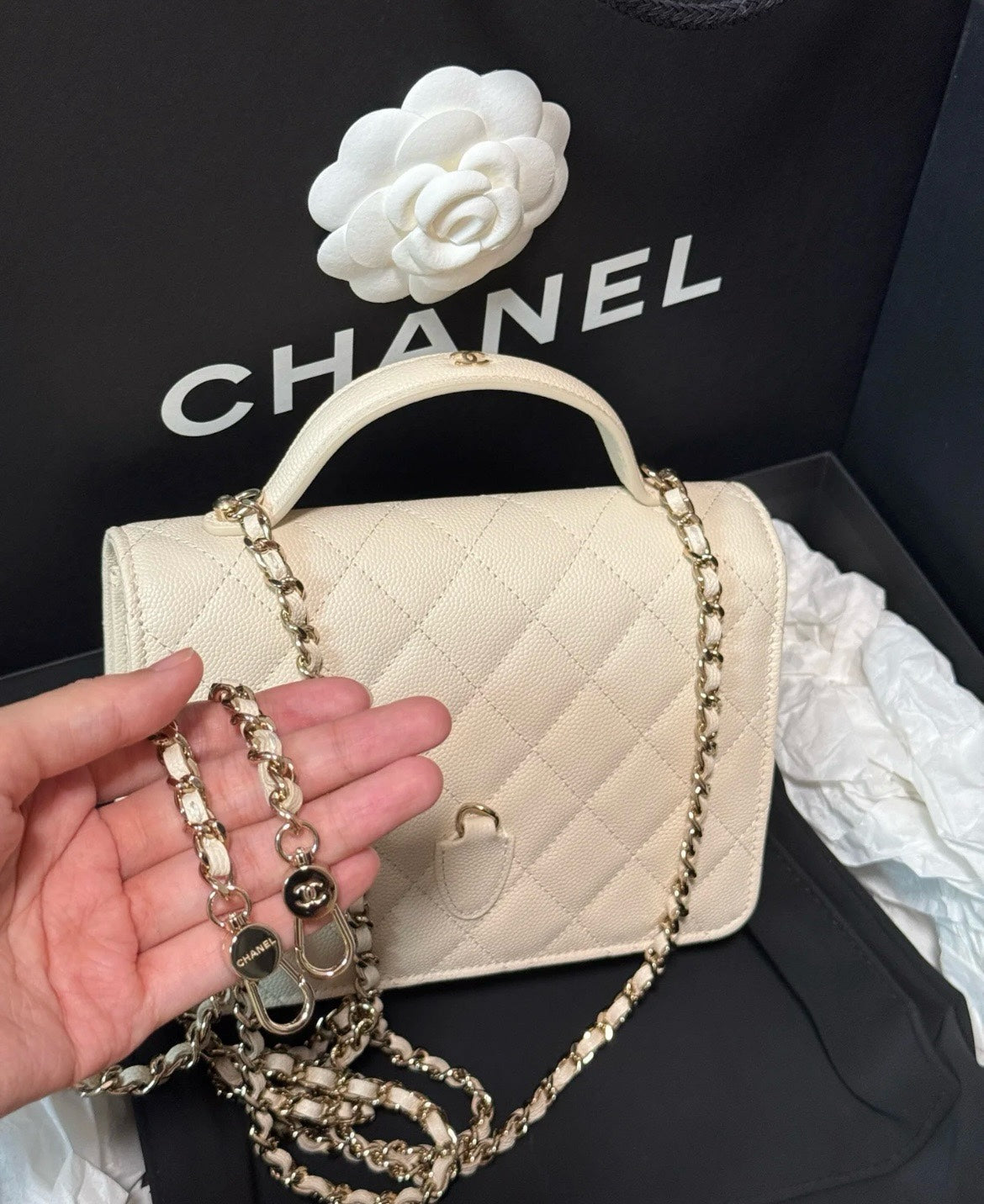 CHANEL 25C Early Spring Lychee Pattern Small Backpack
