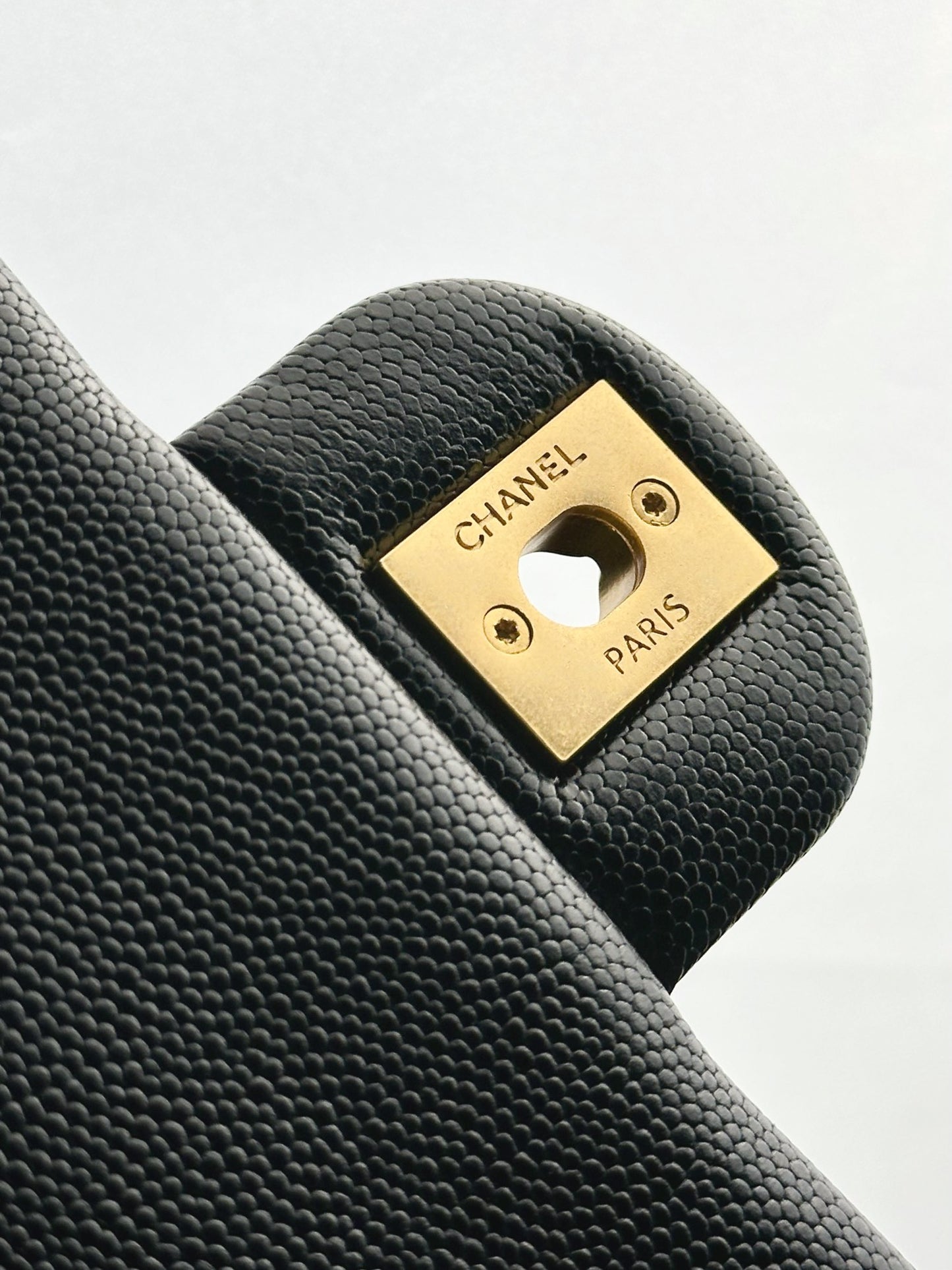 CHANEL 25C Early Spring Lychee Pattern Small Backpack