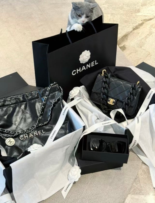 CHANEL 25C Early Spring Lychee Pattern Small Backpack