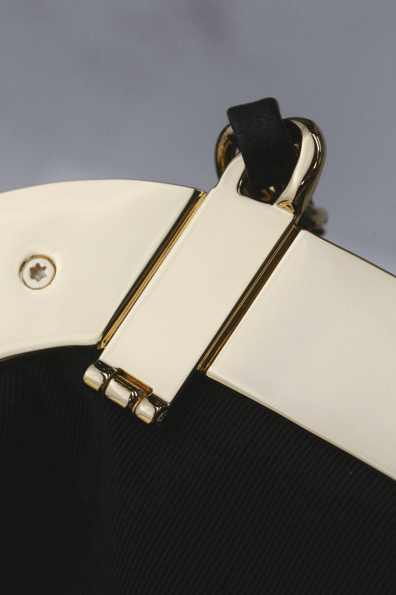 Chanel24A new cloud bag
