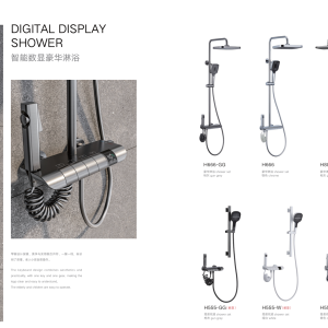 H-Series Digital Display Shower System with One-Button Controls, Real-Time Temperature Readout & Flexible Coil Hose